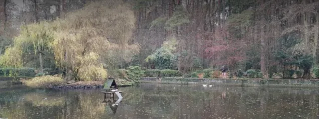Bild: EMIKO behandelt See in Troisdorfer Wald- und Vogelpark